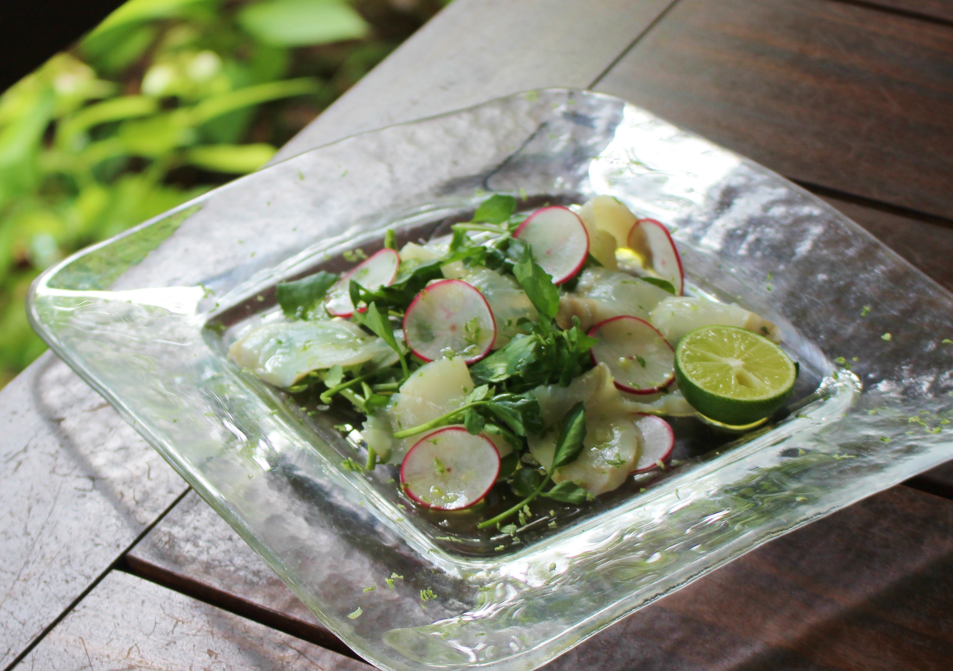 マコガレイのカルパッチョ News