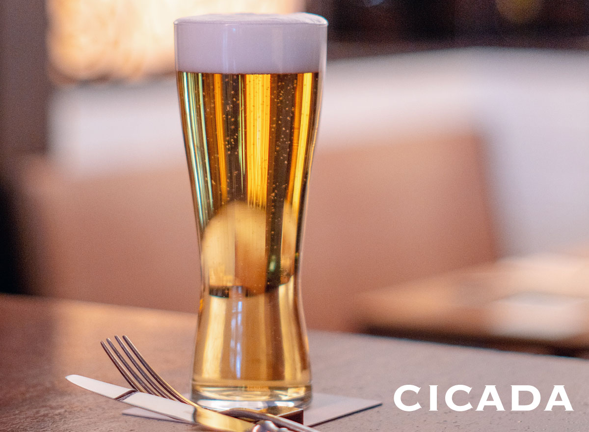 cicada-beer