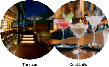 Terrace & Cocktails